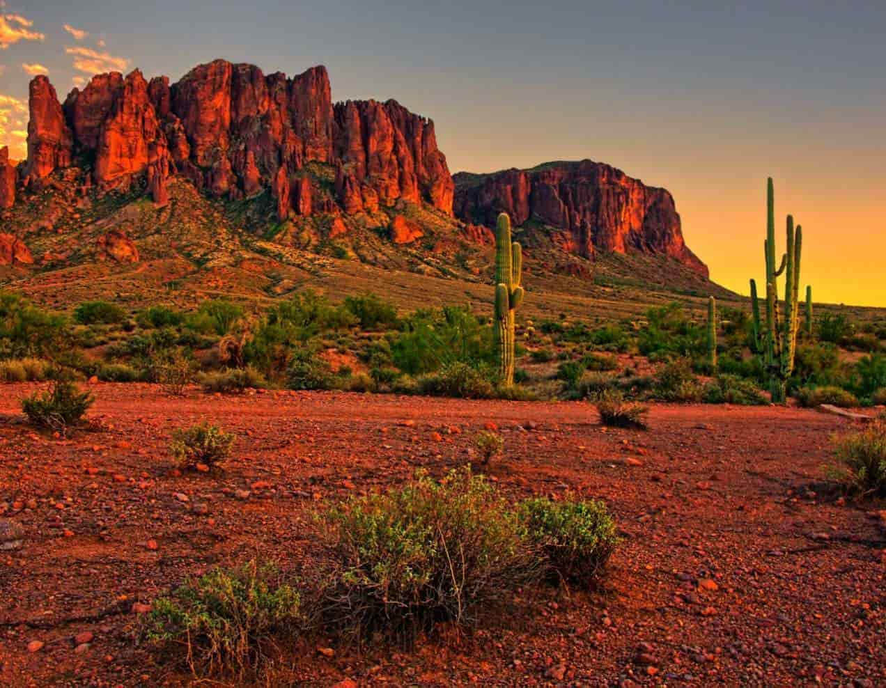A photo of the Arizona desert at sunset