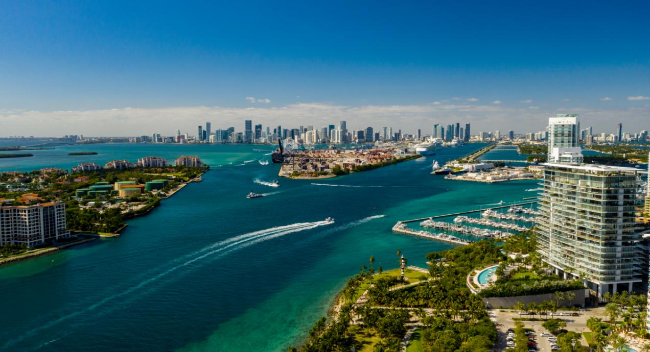 Florida Landscape